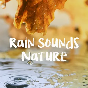 Rain Sounds Nature by Nature Sound Sleep