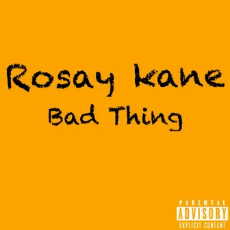 Bad Thing by Rosay Kane