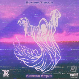 CRIMINAL EXPERT by Bumpin Trigga