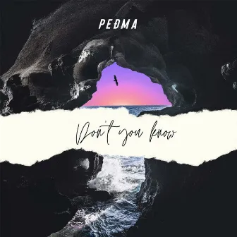 Don't You Know by Pedma