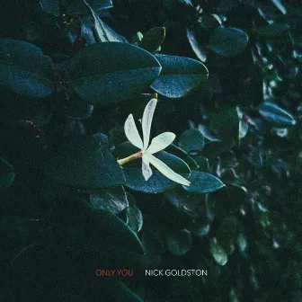 Only You by Nick Goldston