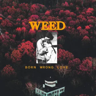 Born Wrong Love by Weed