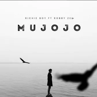 Mujojo (feat. Robby Zee) by Richie boy BBL