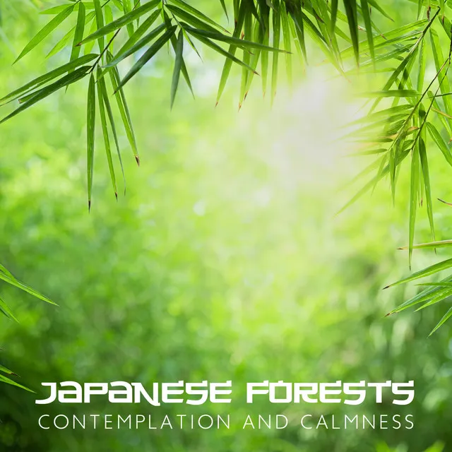 Japanese Forests: Contemplation and Calmness