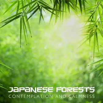 Japanese Forests: Contemplation and Calmness by Tai Chi Spiritual Moments