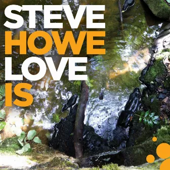 Love Is by Steve Howe