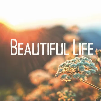 Beautiful Life by Lakota Dreams