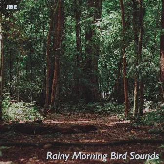 Rainy Morning Bird Sounds by JBE Nature Sounds