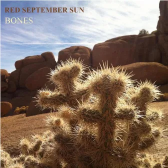 Bones by Red September Sun