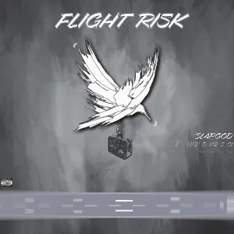 Flight Risk by SlapGod