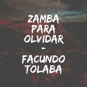 Zamba para olvidar (Acoustic Version) by Facundo Tolaba