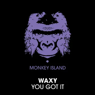 You Got It by Waxy