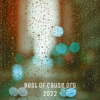 Best Of Cause Org 2022 by Carlos Pires