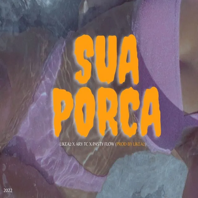 Sua Porca