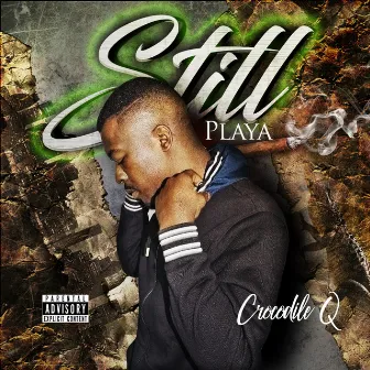 Still Playa by Crocodile Q