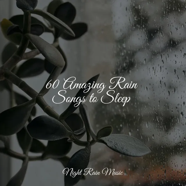 60 Amazing Rain Songs to Sleep