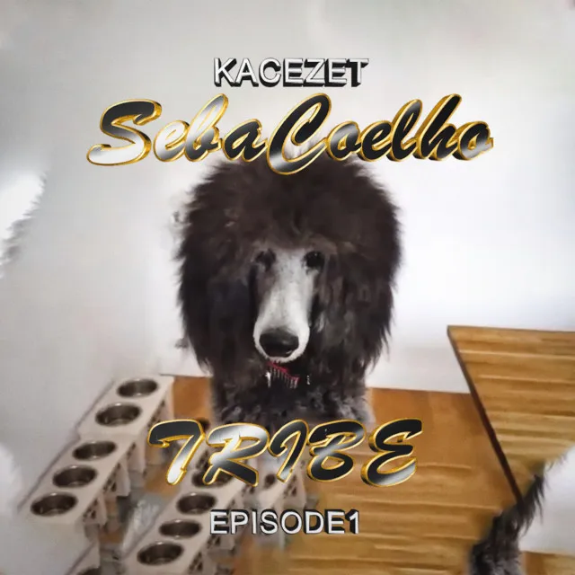 Seba Coelho (Episode 1: Tribe)