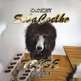 Seba Coelho (Episode 1: Tribe) by Kacezet