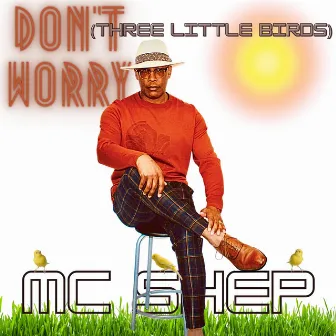 Don't Worry (Three Little Birds) by MC Shep