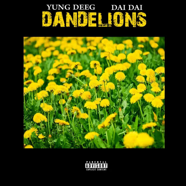 Dandelions