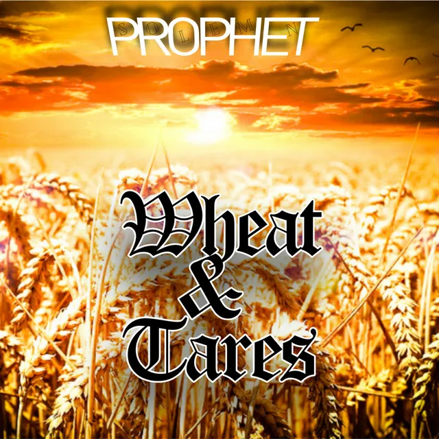 Wheat & Tares