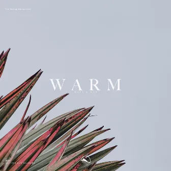 Warm by RAZZ