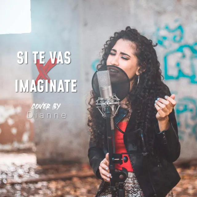 Si Te Vas, Imaginate - Cover