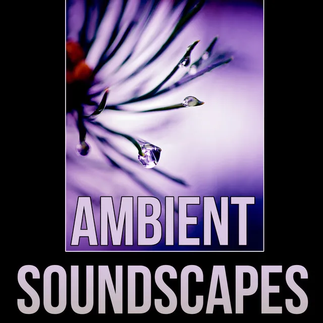 Ambient Soundscapes - Pure Massage Music, Spa Music, Healing Hands, Ultimate Massage Relaxation, Music for Meditation, Relaxation, Massage Therapy