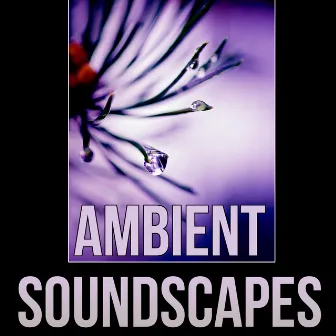 Ambient Soundscapes - Pure Massage Music, Spa Music, Healing Hands, Ultimate Massage Relaxation, Music for Meditation, Relaxation, Massage Therapy by Therapy Massage Music Consort