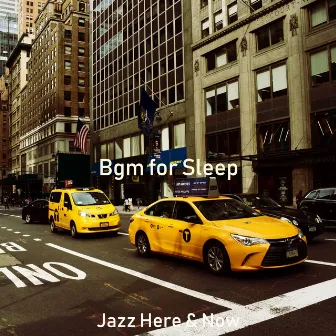 Bgm for Sleep by Jazz Here & Now