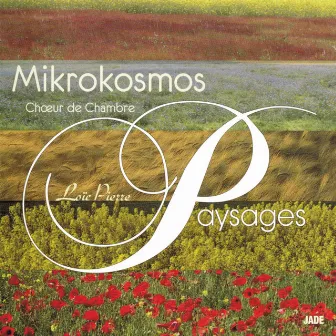 Paysage by Mikrokosmos