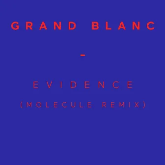 Evidence (Molecule Remix) - Single by Grand Blanc