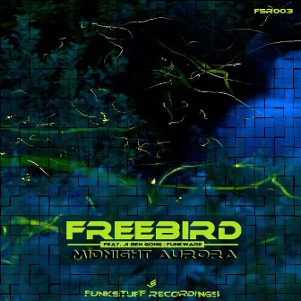 Midnight Aurora by Freebird