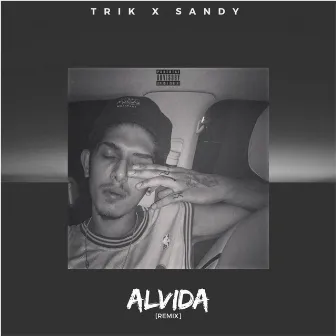 Alvida (Remix) by Sandy