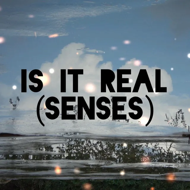 Is It Real (Senses)