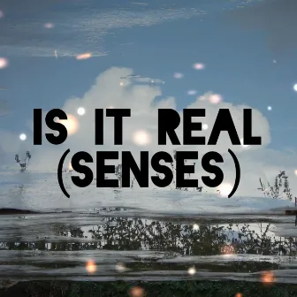 Is It Real (Senses) by Kuu Sound