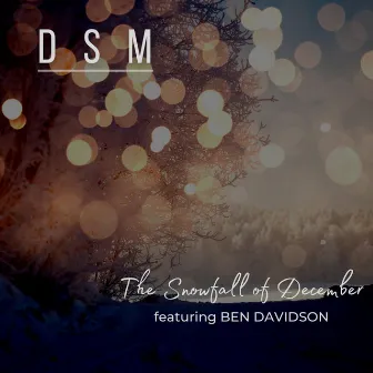 The Snowfall of December by DSM