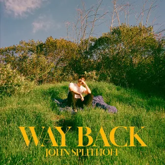 Way Back by John Splithoff