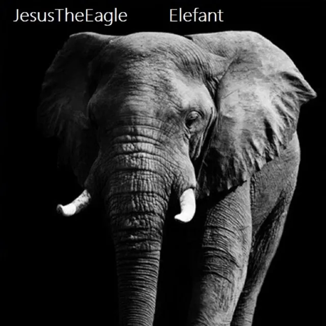 Elefant