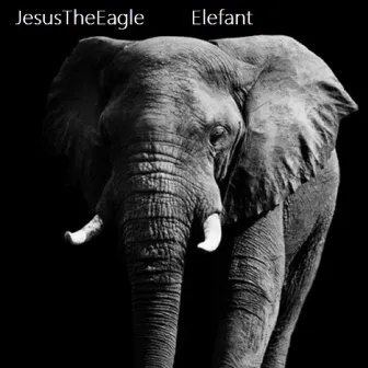 Elefant by JesusTheEagle