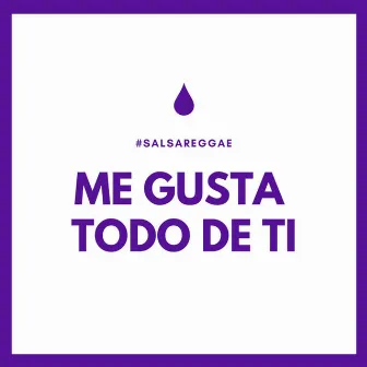 Me Gusta Todo de Ti (En Vivo) by Ray Bg