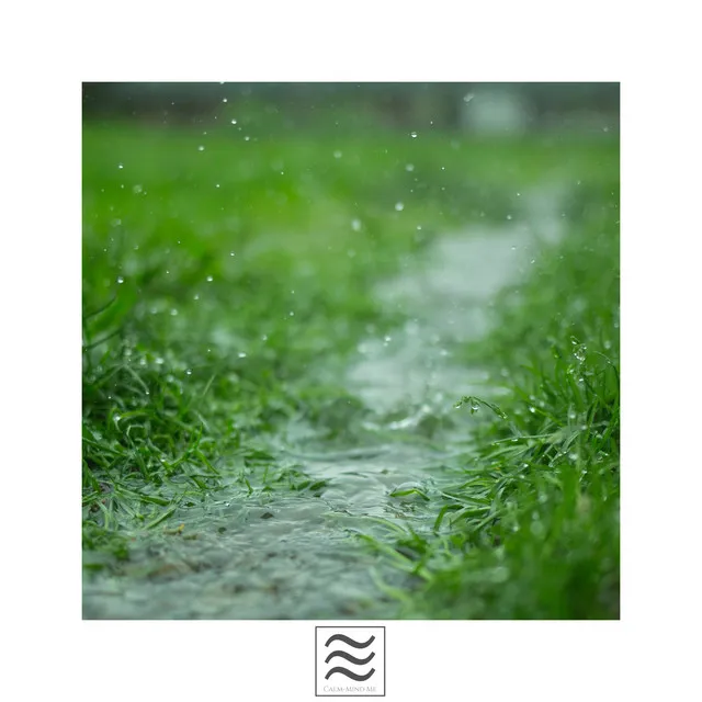 Serene Noisy Tones of Bowls and Rainfall