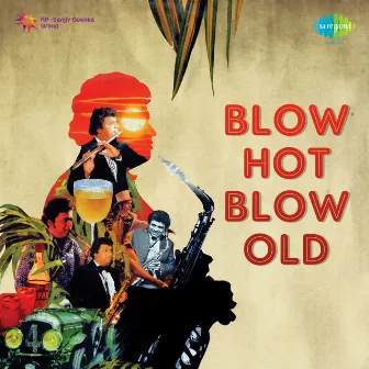 Blow Hot Blow Old by Suresh Yadav