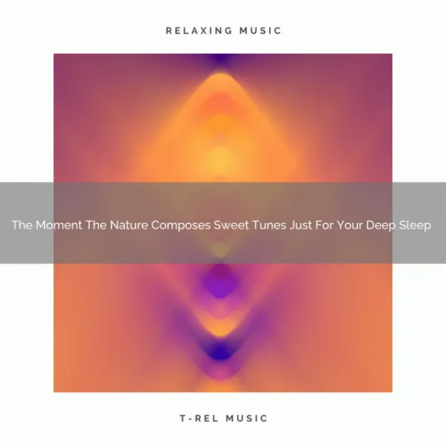 The Minute The City Composes Tunes Dedicated To Your Sleep