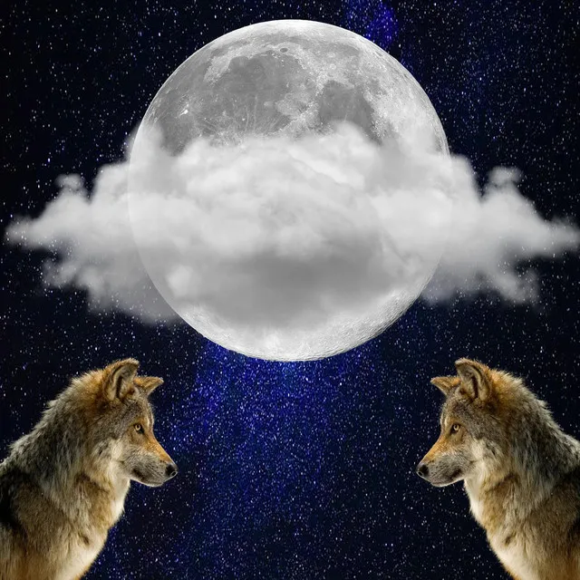 Howl at the Moon