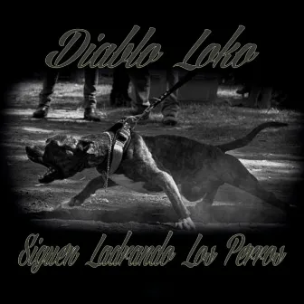 Siguen Ladrando Los Perros by Diablo Loko