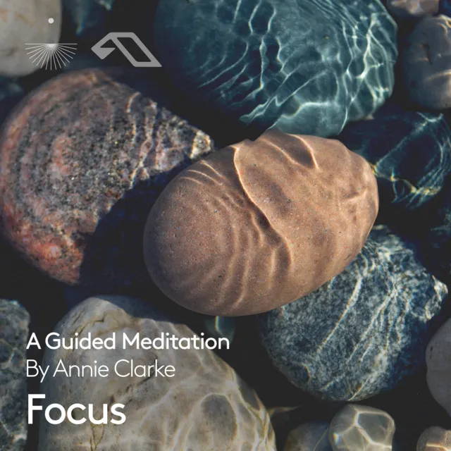 Focus: A Guided Meditation