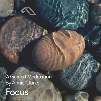 Focus: A Guided Meditation by 