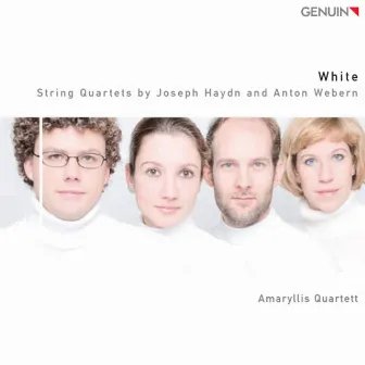 White by Amaryllis Quartett