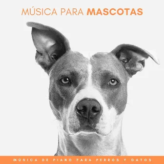 Música Para Mascotas: Música De Piano Para Perros Y Gatos by Animales de piano